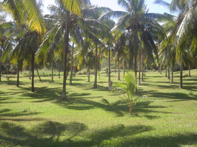 P1010530