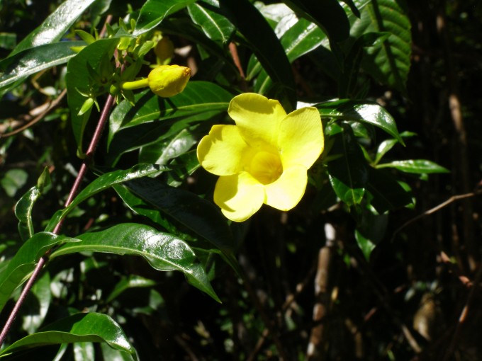 P1010736
