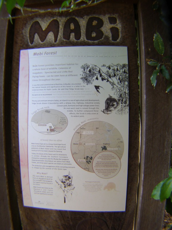 P1010017